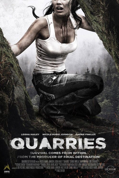 QUARRIES poster
