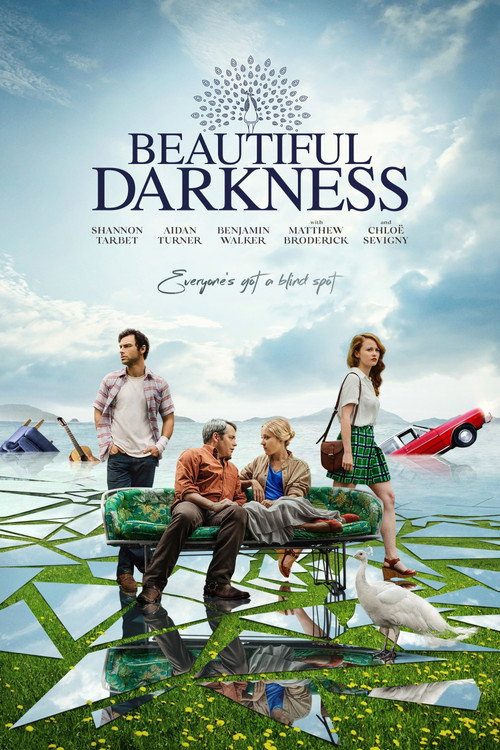 BEAUTIFUL DARKNESS poster