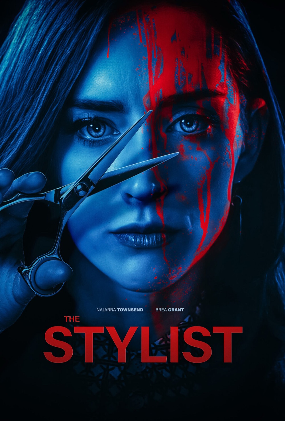 THE STYLIST poster