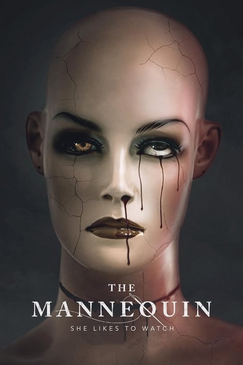 THE MANNEQUIN poster