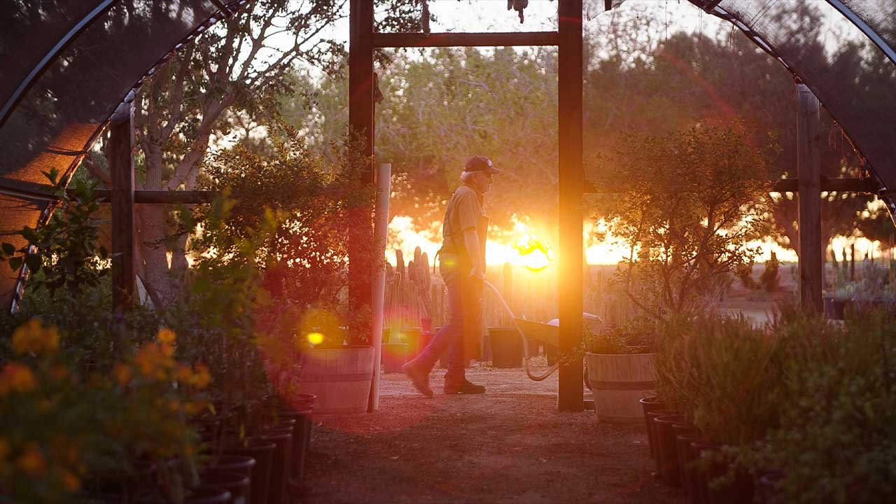 Still from BLOOM